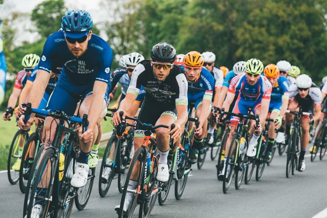 Photo Fietsen door het Fries Erfgoed: Verken de Fietsroutes van De Fryske Marren en Súdwest Fryslân!