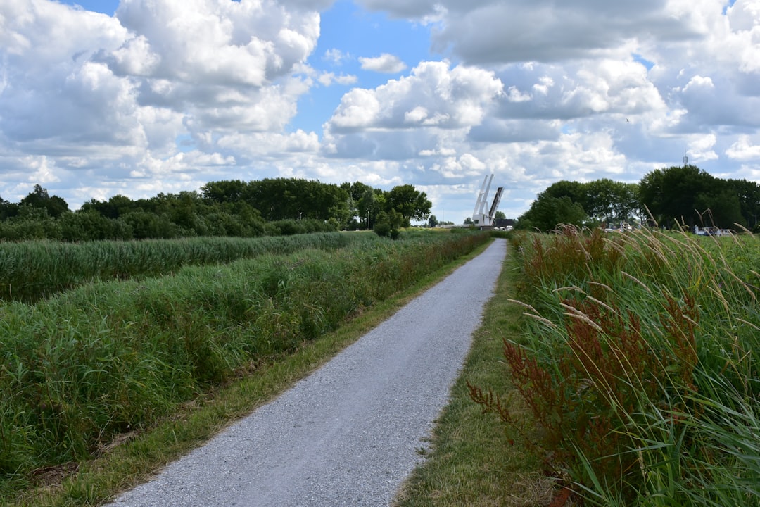 Photo Friese Gastvrijheid: Een Diepe Duik in de Toeristische Troeven van De Fryske Marren en Súdwest Fryslân!